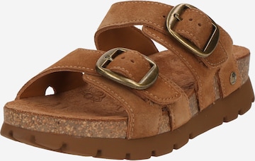 PANAMA JACK Pistokkaat 'Shirley' värissä ruskea: etupuoli