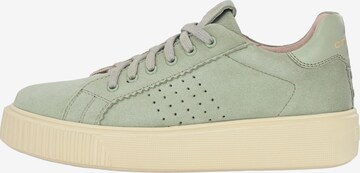 Crickit Sneaker ' HARPER ' in Grün