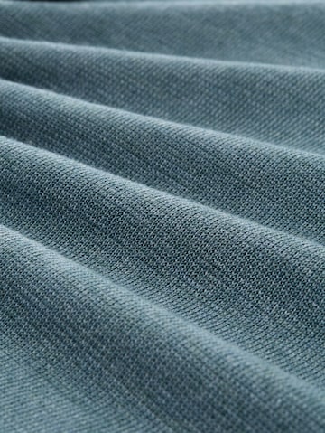 TOM TAILOR Trui in Blauw