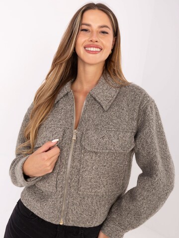 Sublevel Зимняя куртка в Серый