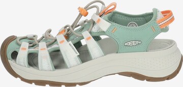 Chaussure de sport 'ASTORIA WEST' KEEN en vert