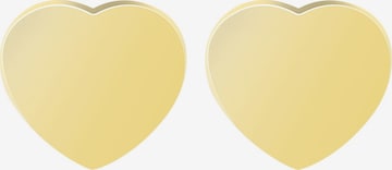 Akzent Earrings 'Nessi, hautverträglich' in Gold: front