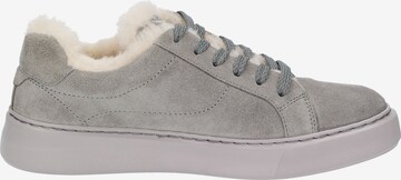 SIOUX Sneaker 'Tils sneak-D 005-LF' in Grau