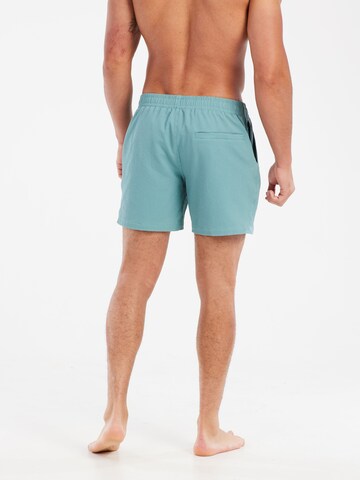 PROTEST Badeshorts 'PRTWytona' in Grün