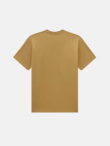 VANS Shirt 'ARCHED' in Bruin