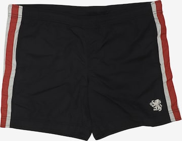 Bogner Fire + Ice Shorts 34 in Blau: Vorderseite