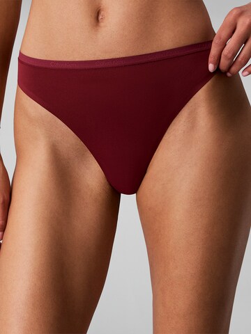 Calvin Klein Underwear String in Lila