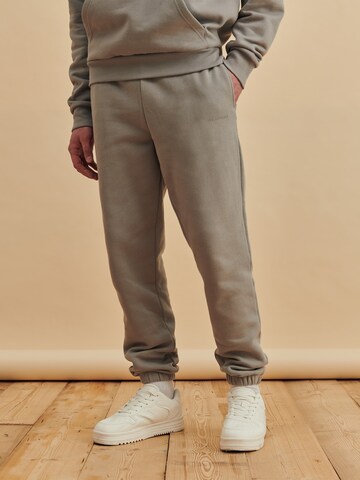 DAN FOX APPAREL Tapered Broek 'Constantin' in Grijs: voorkant