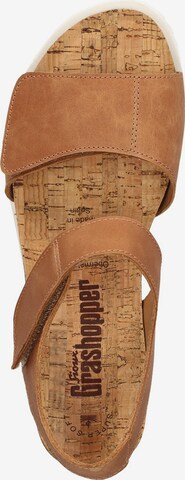 SIOUX Sandals in Brown