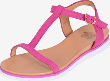 Apple of Eden Strap Sandals ' DANA ' in Pink: front