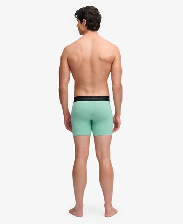 Superdry & Co Boxer shorts in Green