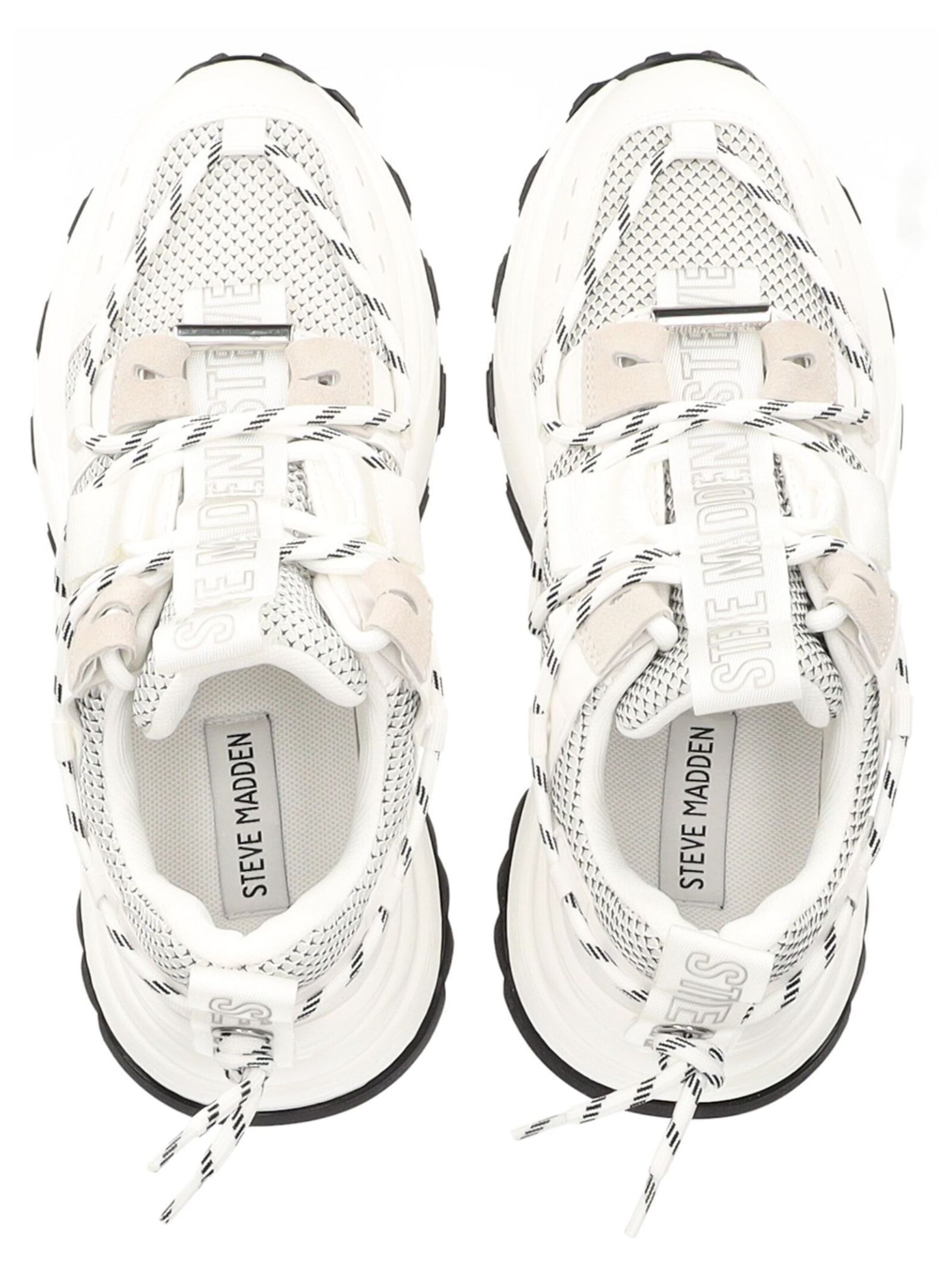 STEVE MADDEN Sneakers laag 'Tazmania' in Wit