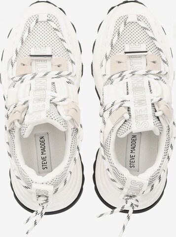 Sneaker bassa 'Tazmania' di STEVE MADDEN in bianco