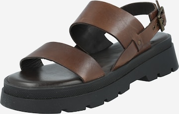 ABOUT YOU Sandals 'Leonora' in Brown: front