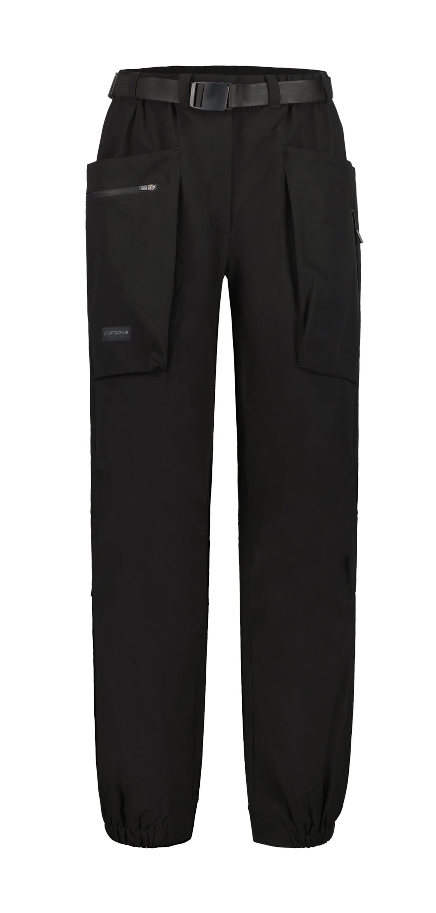 ICEPEAK Свободный крой Штаны в спортивном стиле 'Barryton' в Черный: спереди