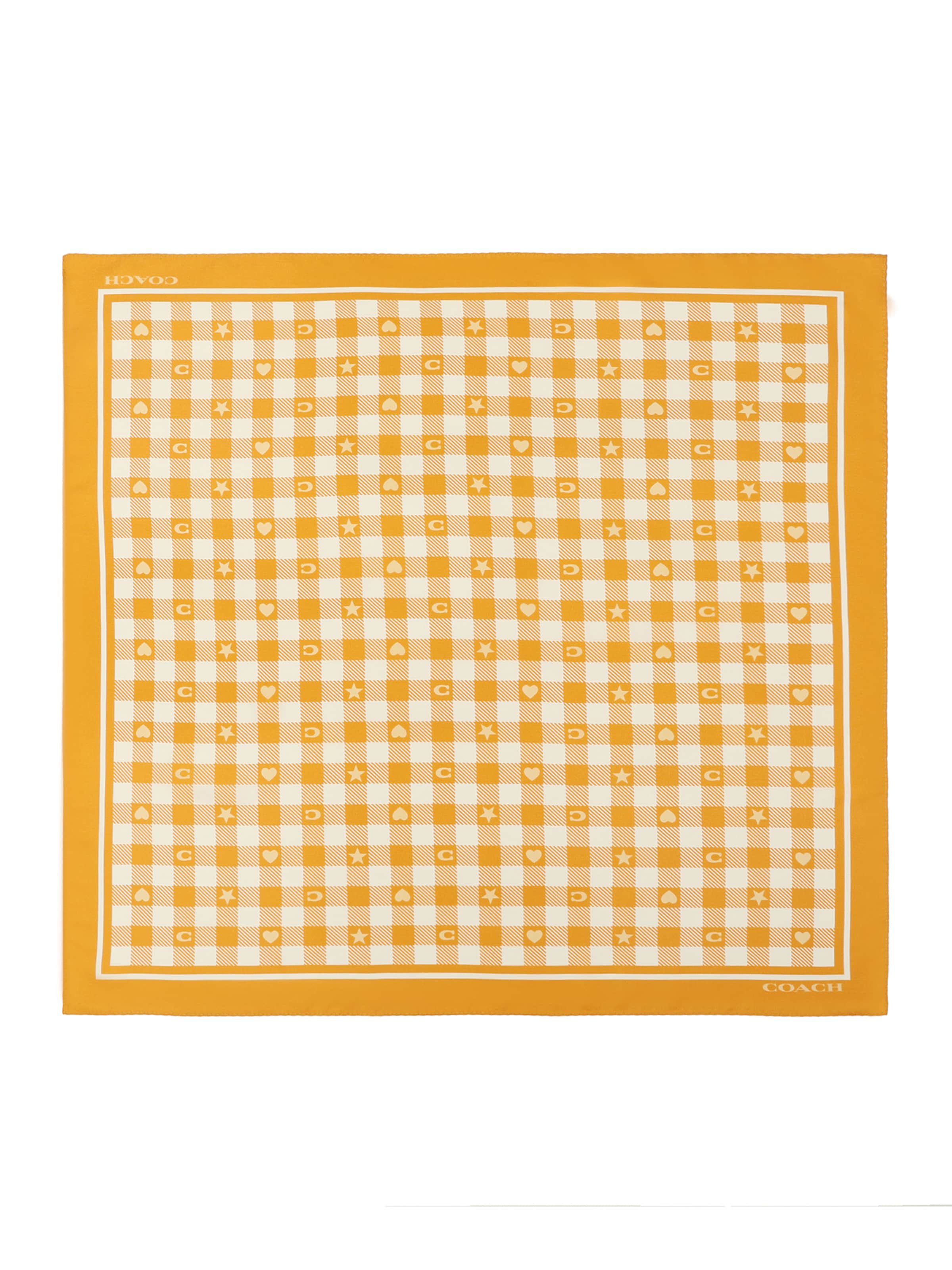 COACH - Pañuelo en naranja: frente