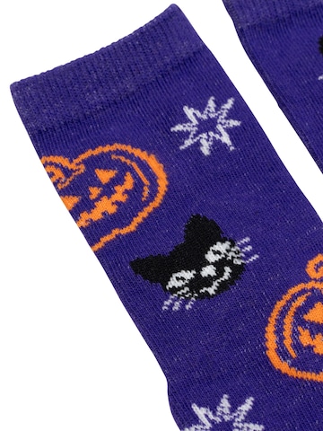 United Labels Socken 'Halloween Kürbis & Katze'‌‌‌‌‌‌ in Lila