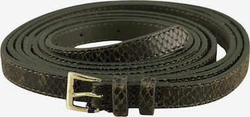 Banana Republic Gürtel One Size in Grün: Vorderseite