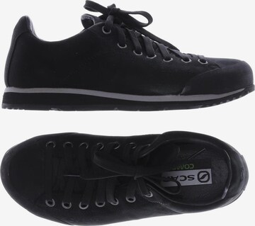 Scarpa Sneakers & Trainers in 37 in Black: front