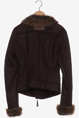 Fornarina Jacket & Coat in S in Brown