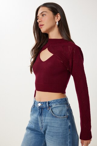Happiness İstanbul Pullover in Rot