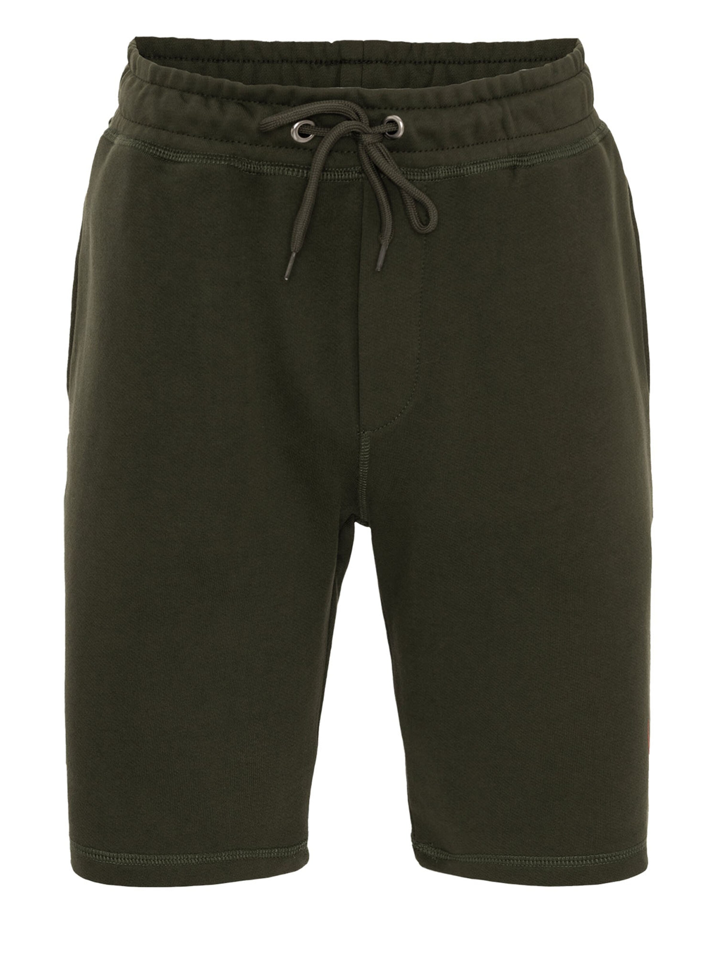 By Diess Collection Regular Trousers in Green: front