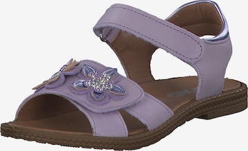 IMAC Sandale '380550' in Lila: Vorderseite