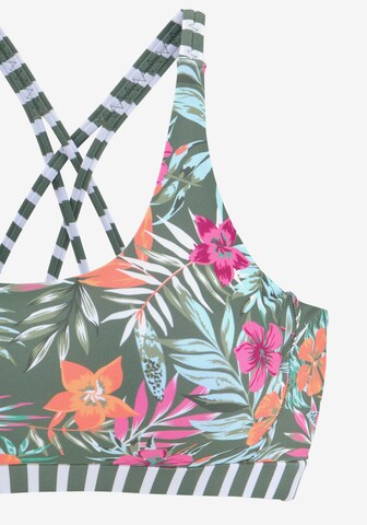 VENICE BEACH Bustier Bikini zgornji del 'Summer' | zelena barva