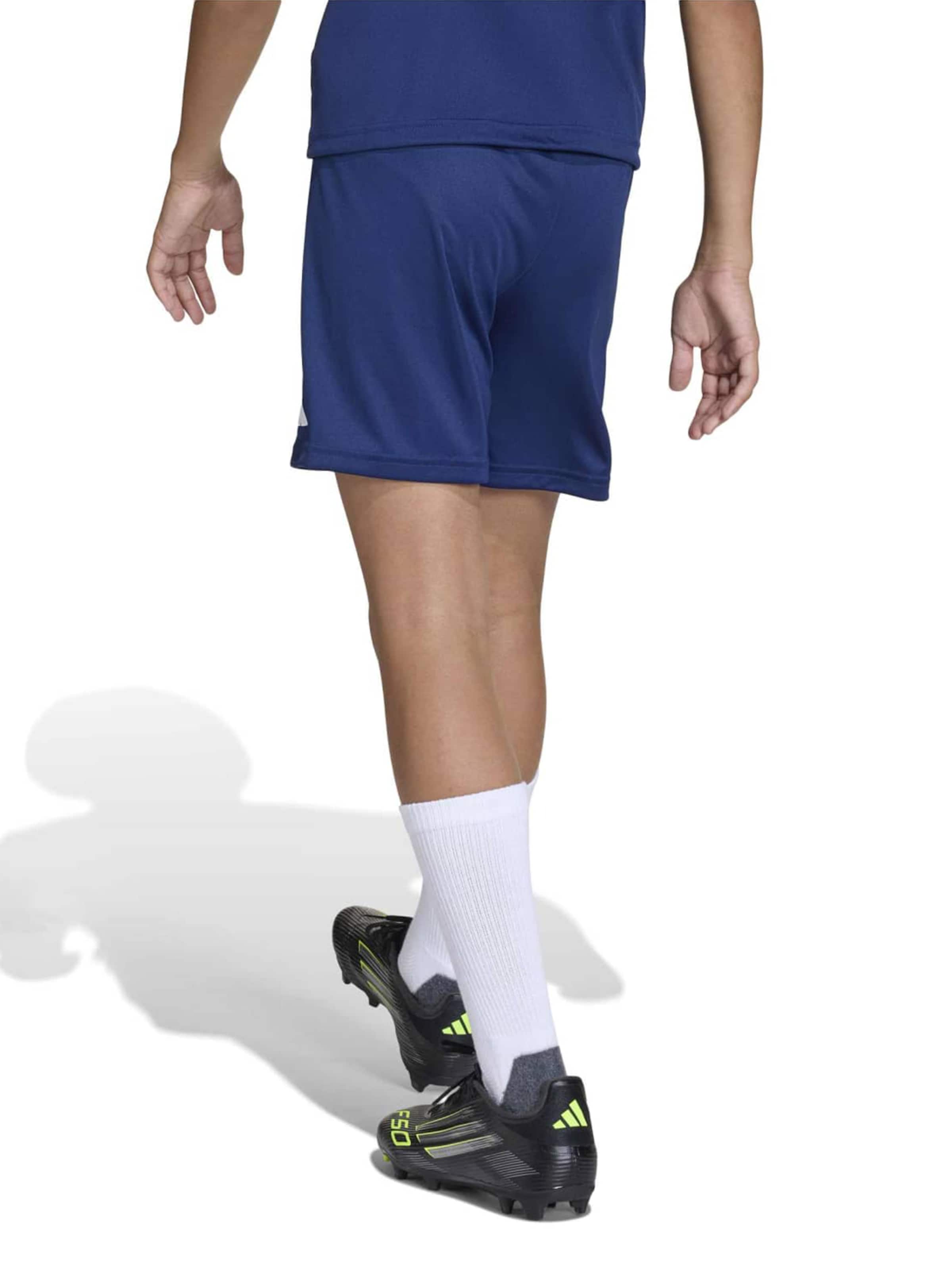 ADIDAS PERFORMANCE Regularen Športne hlače 'ENT26' | modra barva