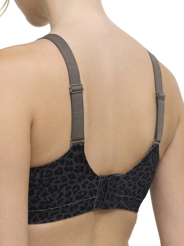 Push-up Soutien-gorge 'Seamless Compact Push-Up BH' cfab en noir