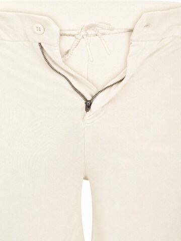 Suitable Regular Hose 'Jink'‌‌‌‌‌‌‌‌‌ in Beige