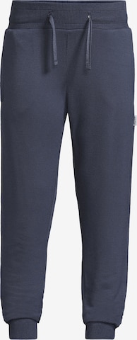 New Life Pants in Blue: front