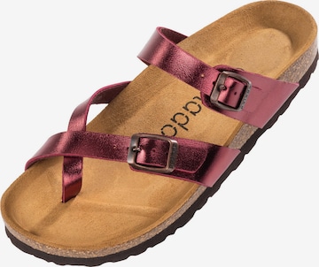 Séparateur d'orteils 'Cres' Palado en rouge : devant