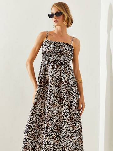 Bianco Lucci Kesämekko värissä ruskea