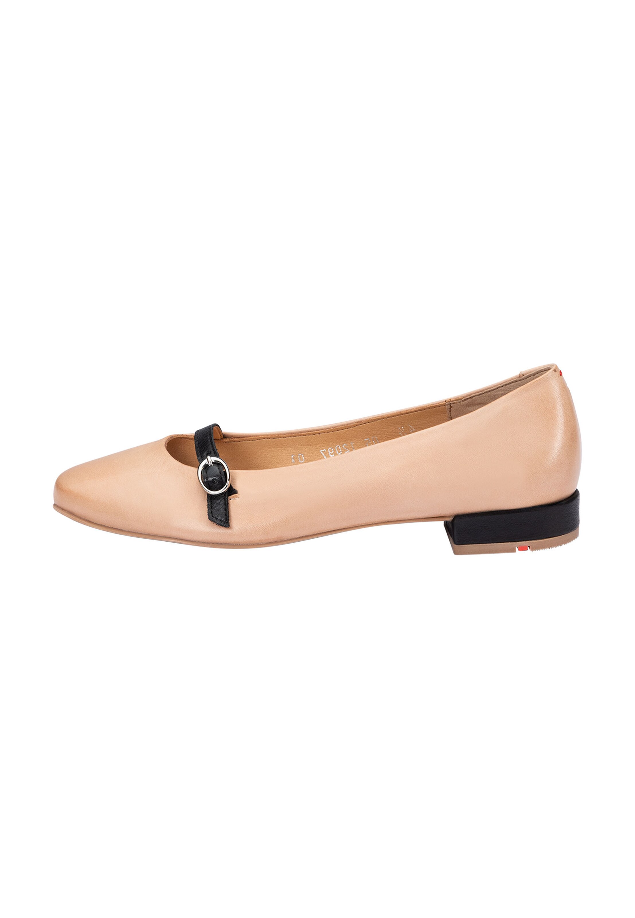 Ballerines LLOYD en beige : devant