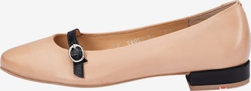 Ballerina di LLOYD in beige: frontale