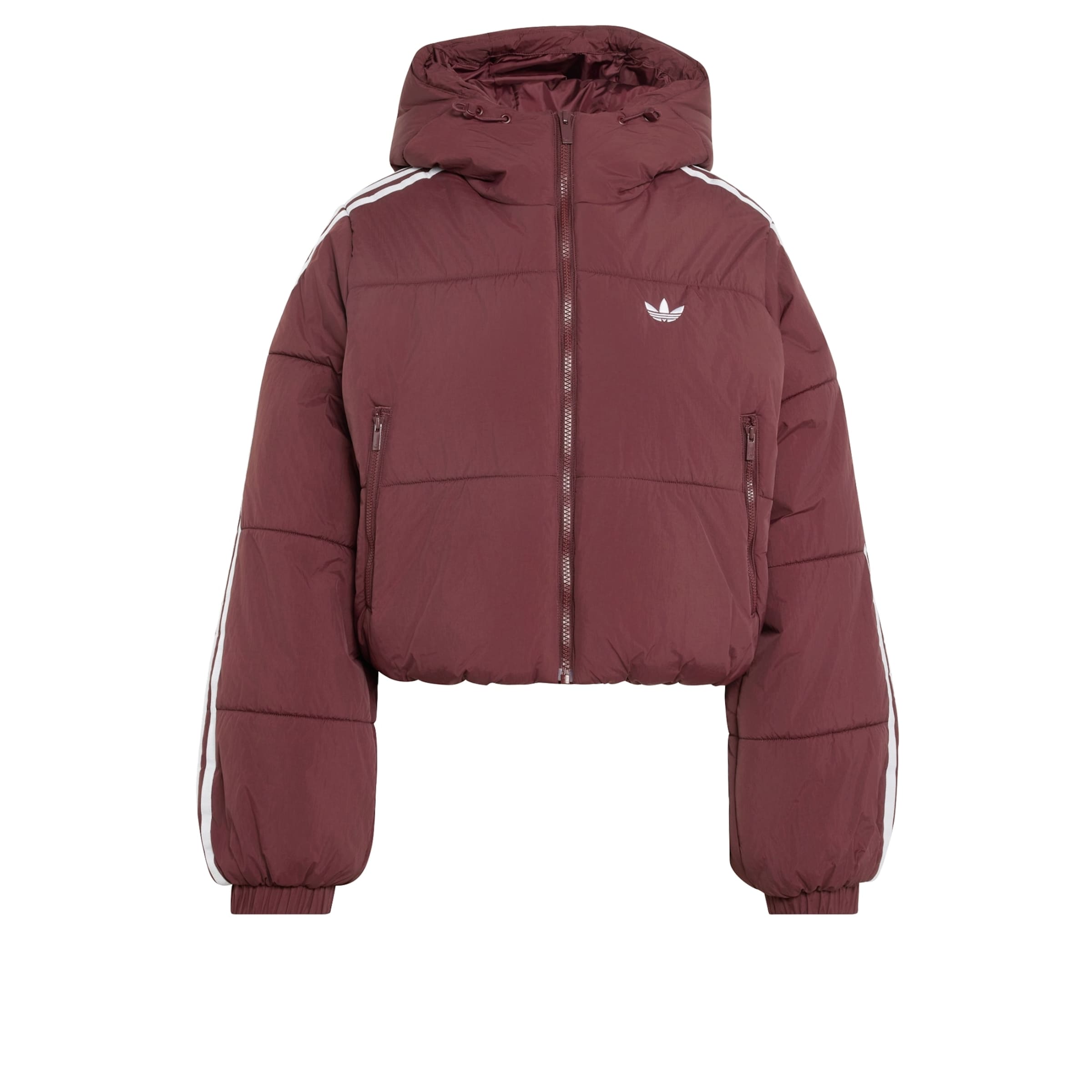 ADIDAS ORIGINALS Winterjas 'Adicolor' in Rood: voorkant