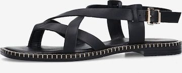 Tongs SACHA en noir : devant