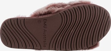 Pantoufle 'Mayberry Frost' EMU AUSTRALIA en marron