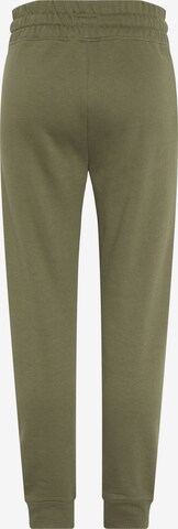 Polo Sylt Tapered Pants in Green
