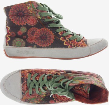 Desigual Sneakers & Trainers in 39 in Mixed colors: front