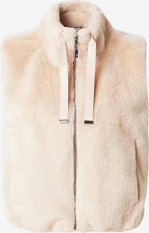 Gilet di monari in marrone: frontale