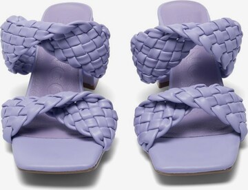 Bianco Mules 'BIAJOYCE ' in Purple