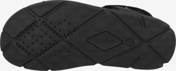 GEOX Sandale 'Xand' in Schwarz