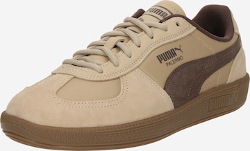 Baskets basses 'Palermo' PUMA en beige : devant