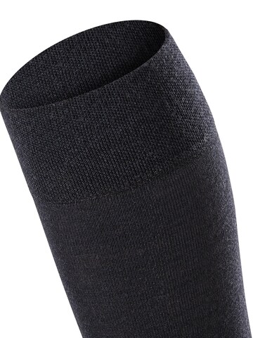 FALKE Over the Knee Socks 'Sensitive Berlin' in Blue