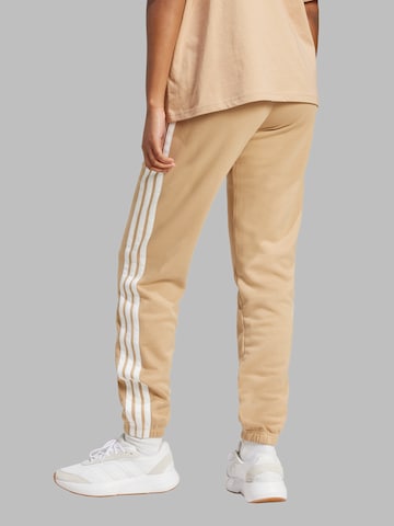 ADIDAS SPORTSWEAR Normalny krój Spodnie w kolorze beżowy: tył