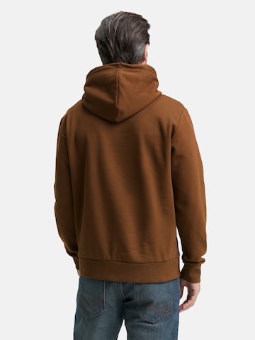 TOM TAILOR Sweatshirt in Bruin