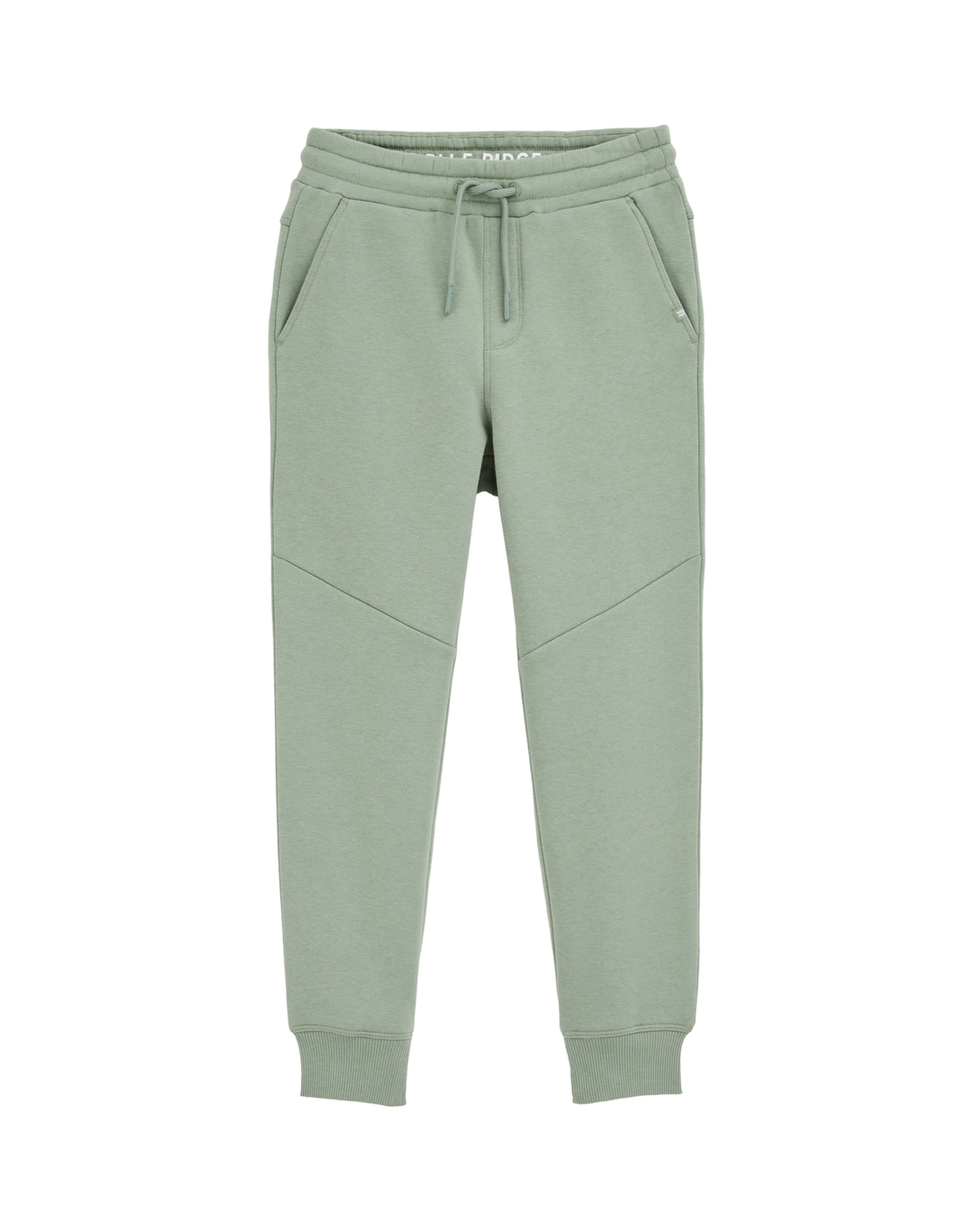 žalia WE Fashion Standartinis Kelnės: priekis