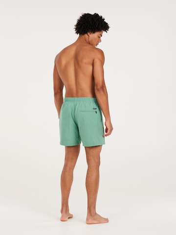 PROTEST Badeshorts 'DAVEY' in Grün